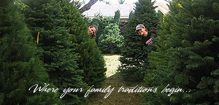carroll s country christmas tree farm u cut or pre cut carroll s country christmas tree farm u cut or pre cut